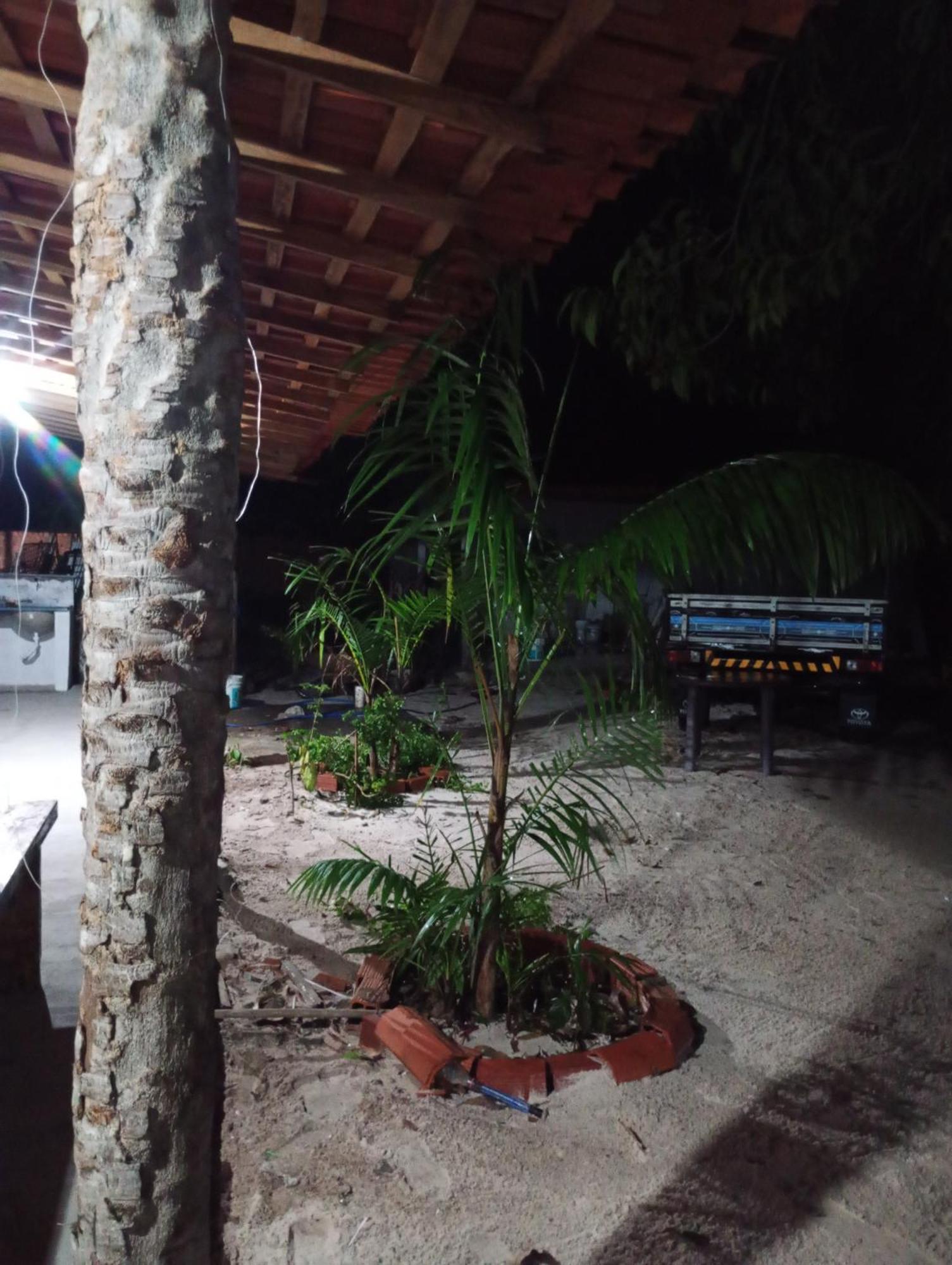 Hostel E Camping Na Rua Das Flores Santo Amaro do Maranhao ภายนอก รูปภาพ