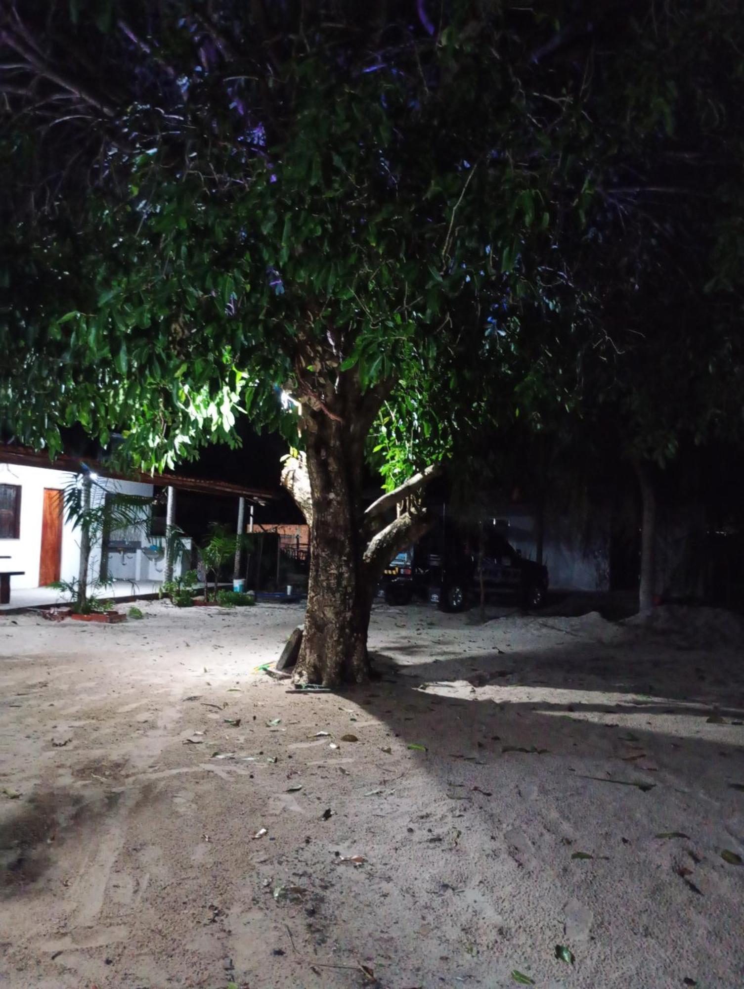 Hostel E Camping Na Rua Das Flores Santo Amaro do Maranhao ภายนอก รูปภาพ