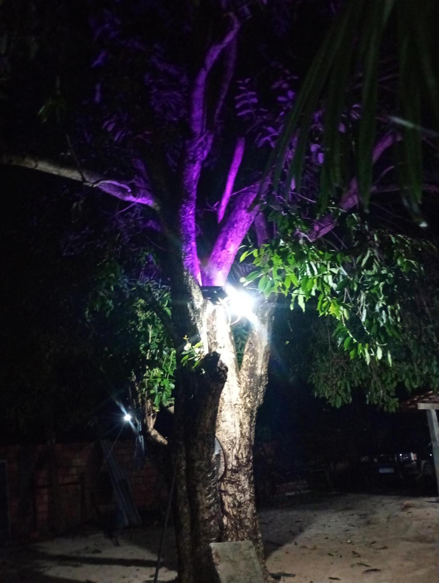 Hostel E Camping Na Rua Das Flores Santo Amaro do Maranhao ภายนอก รูปภาพ