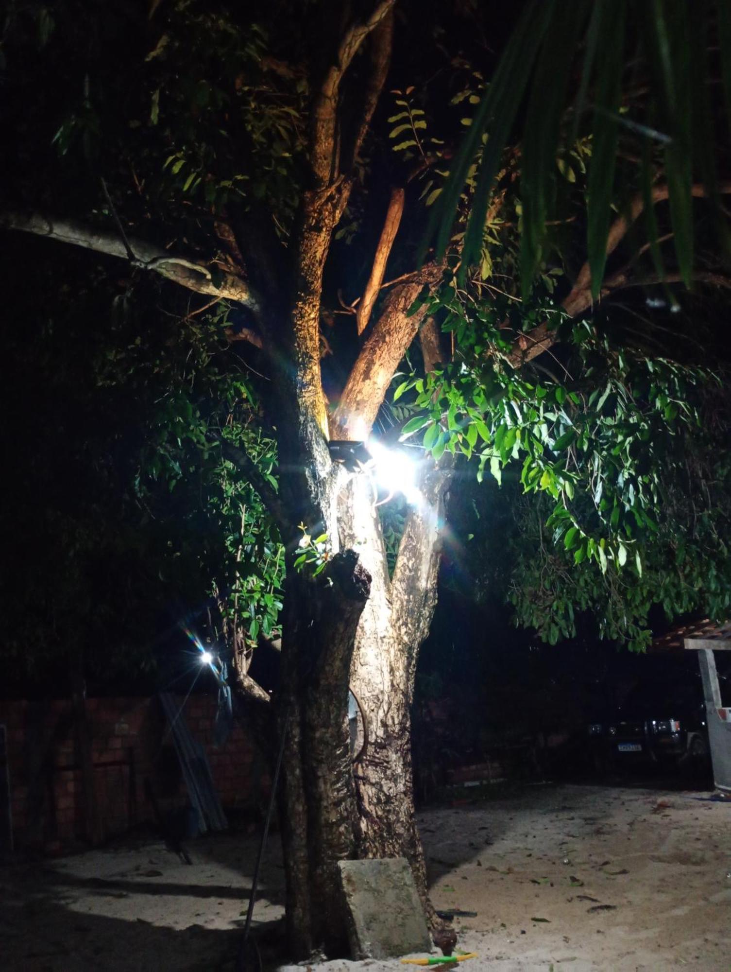 Hostel E Camping Na Rua Das Flores Santo Amaro do Maranhao ภายนอก รูปภาพ