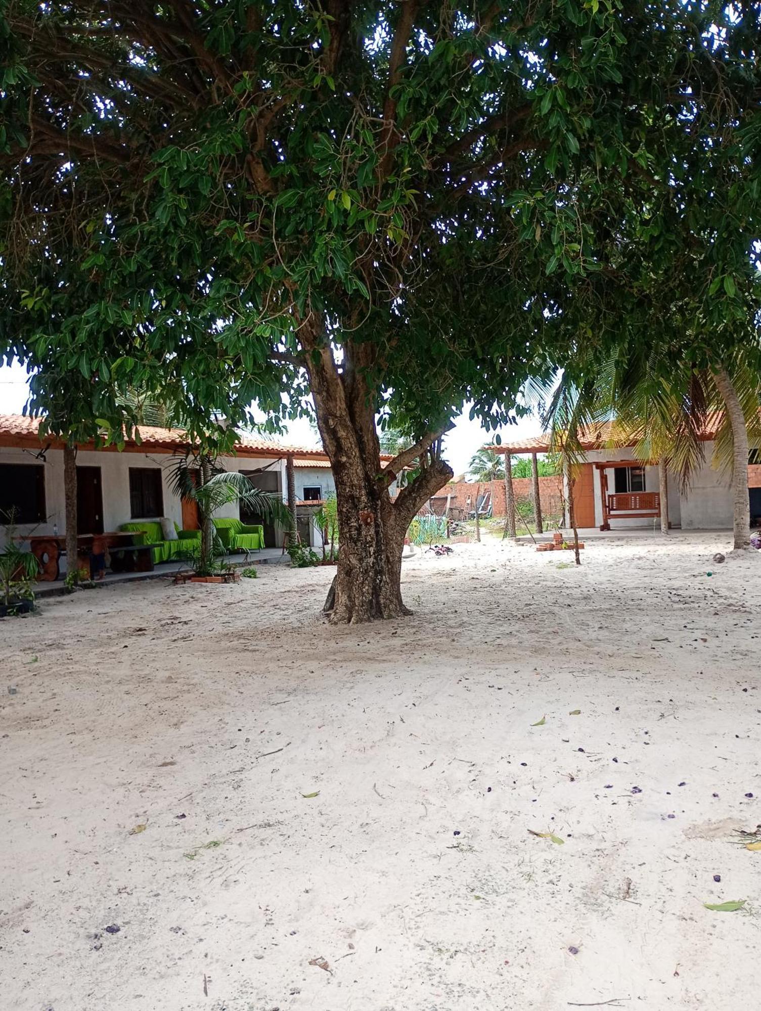 Hostel E Camping Na Rua Das Flores Santo Amaro do Maranhao ภายนอก รูปภาพ