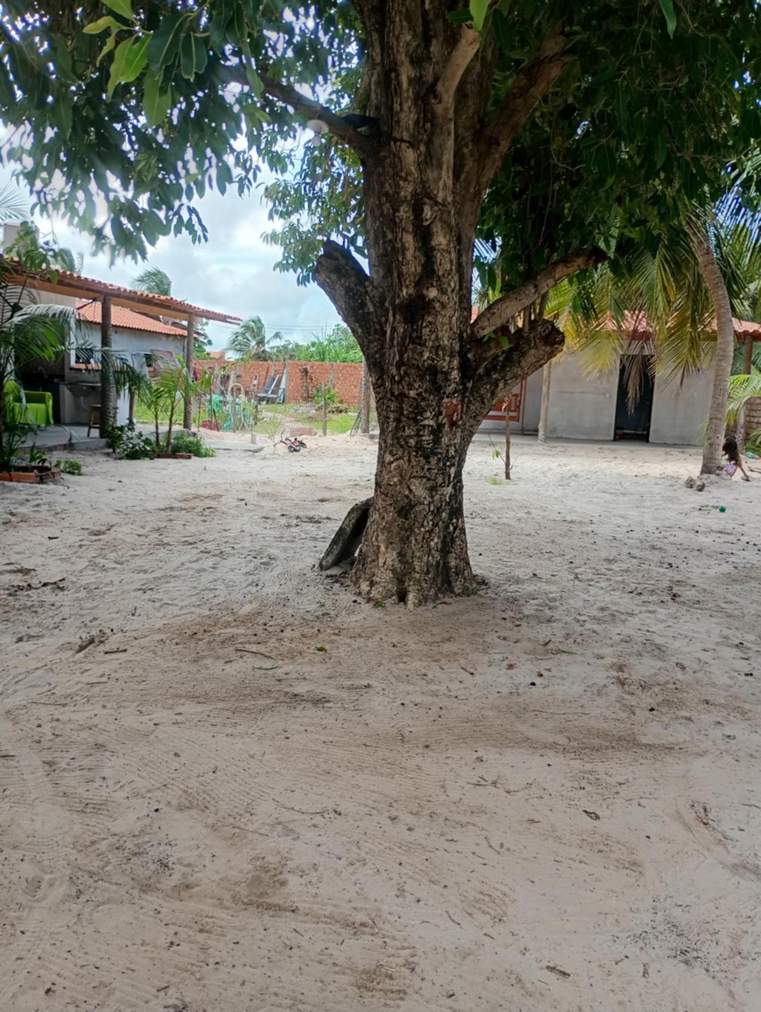 Hostel E Camping Na Rua Das Flores Santo Amaro do Maranhao ภายนอก รูปภาพ